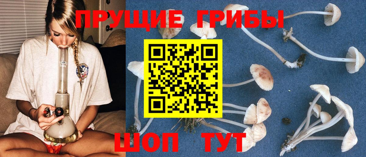 Галлюциногенные грибы прущие грибы  Артём 