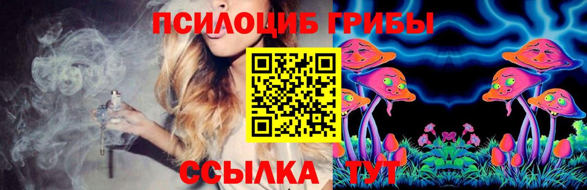 Псилоцибиновые грибы Cubensis Артём